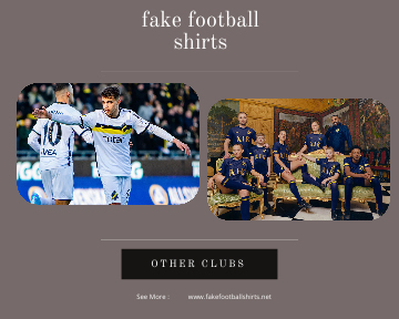 fake AIK football shirts 23-24